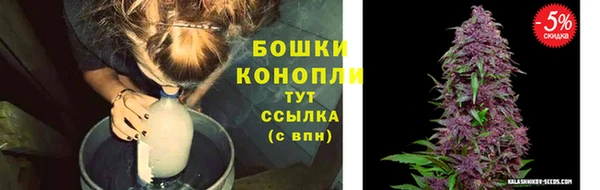 молекула духа Богородицк