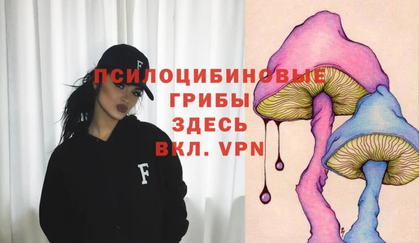 героин Бородино